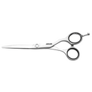 Jaguar EVOLUTION  5.75"